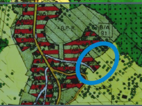 Bild B-Plan Risser Straße